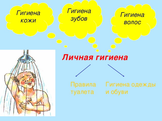 Гигиена зубов Гигиена кожи Гигиена волос Личная гигиена Правила туалета Гигиена одежды и обуви 