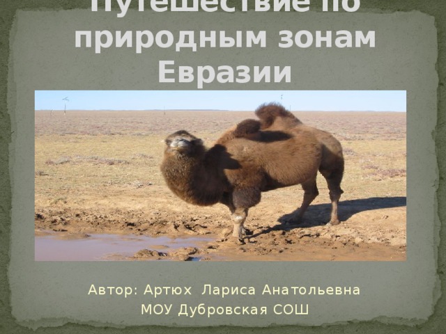 Путешествие по природным зонам Евразии Автор: Артюх Лариса Анатольевна МОУ Дубровская СОШ 