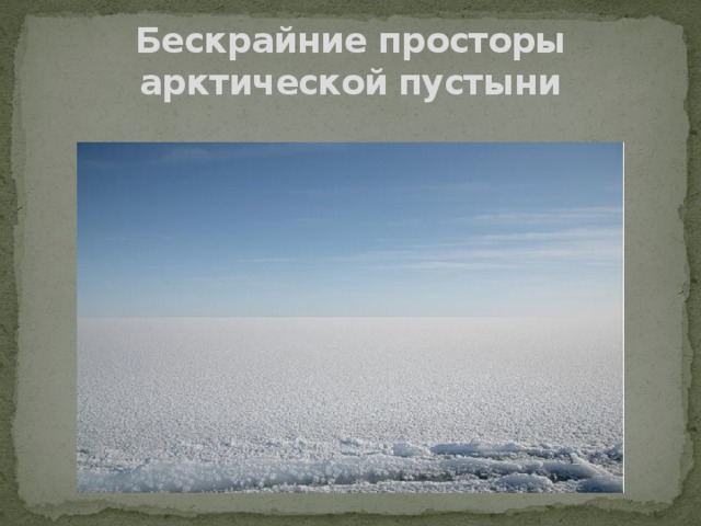 Бескрайние просторы арктической пустыни 