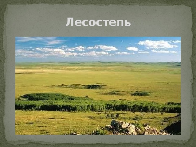 Лесостепь 