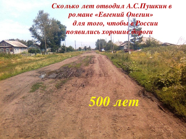 Сколько лет отводил А.С.Пушкин в романе «Евгений Онегин»  для того, чтобы в России появились хорошие дороги ?  500 лет   