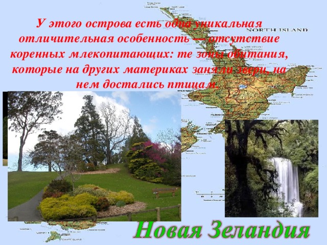 У этого острова есть одна уникальная отличительная особенность — отсутствие коренных млекопитающих: те зоны обитания, которые на других материках заняли звери, на нем достались птицам. 