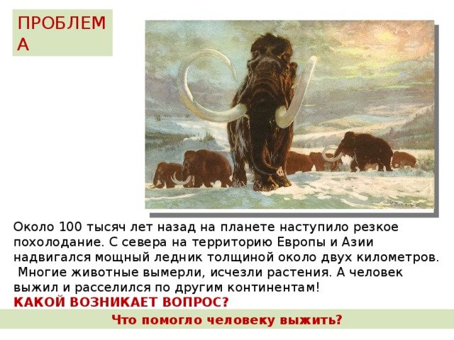 ПРОБЛЕМА Около 100 тысяч лет назад на планете наступило резкое похолодание. С севера на территорию Европы и Азии надвигался мощный ледник толщиной около двух километров. Многие животные вымерли, исчезли растения. А человек выжил и расселился по другим континентам! КАКОЙ ВОЗНИКАЕТ ВОПРОС? Что помогло человеку выжить?