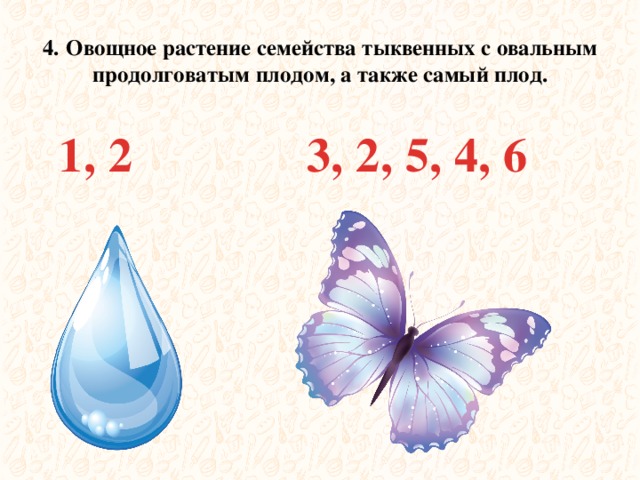 4.  Овощное растение семейства тыквенных с овальным продолговатым плодом, а также самый плод. 1, 2 3, 2, 5, 4, 6 