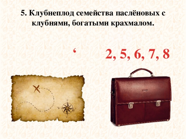 , 5. Клубнеплод семейства паслёновых с клубнями, богатыми крахмалом. 2, 5, 6, 7, 8 