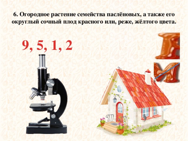 6. Огородное растение семейства паслёновых, а также его округлый сочный плод красного или, реже, жёлтого цвета. 9, 5, 1, 2 