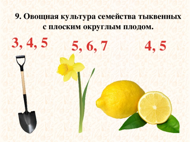 9. Овощная культура семейства тыквенных с плоским округлым плодом. 3, 4, 5 5, 6, 7 4, 5 