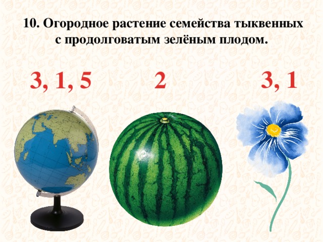  10. Огородное растение семейства тыквенных с продолговатым зелёным плодом. 3, 1 2 3, 1, 5 