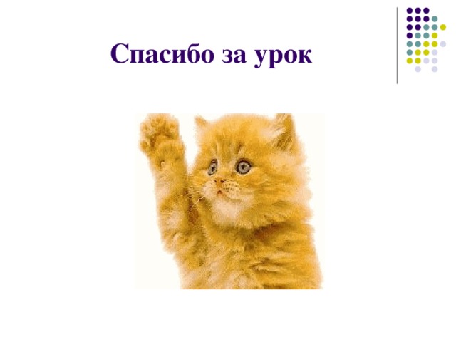 Спасибо за внимание котик для презентации