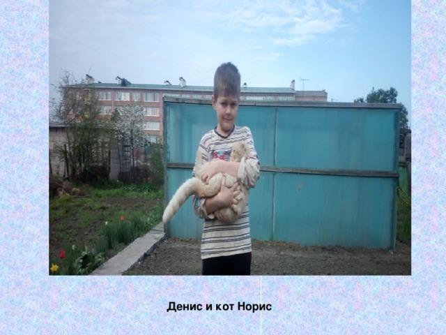 Денис и кот Норис 