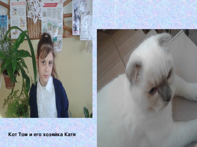 Кот Том и его хозяйка Катя 