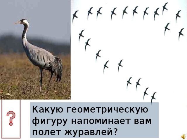 Квест: "Геометрические фигуры"