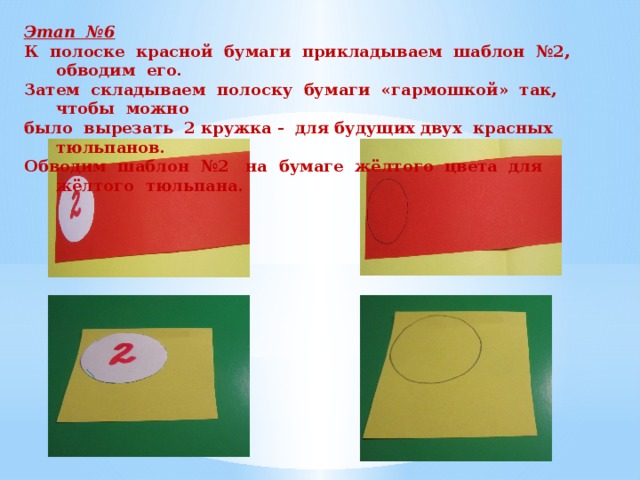 Этап №6 К полоске красной бумаги прикладываем шаблон №2, обводим его. Затем складываем полоску бумаги «гармошкой» так, чтобы можно было вырезать 2 кружка - для будущих двух красных тюльпанов. Обводим шаблон №2 на бумаге жёлтого цвета для жёлтого тюльпана. 