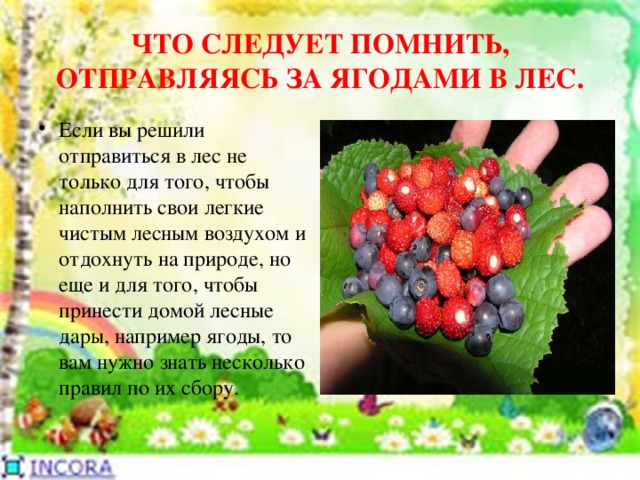 Ядовитые грибы и ягоды презентация