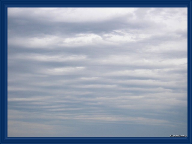 Stratocumulus clouds are uniform grayish clouds that often cover the entire sky.