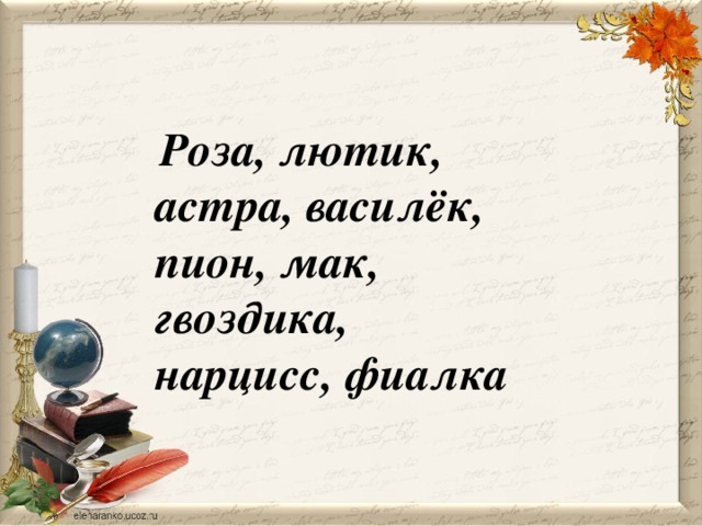 Роза, лютик, астра, василёк, пион, мак, гвоздика, нарцисс, фиалка