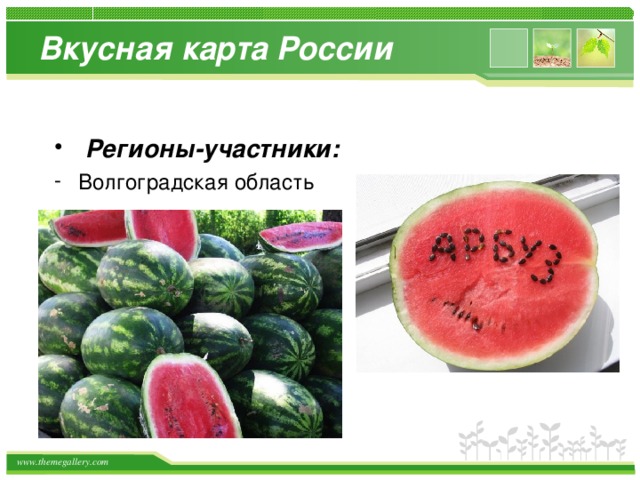 Вкусная карта России  Регионы-участники:  Волгоградская область 