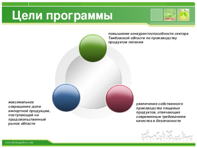 Цели программы повышение конкурентоспособности сектора Тамбовской области по производству продуктов питания  максимальное сокращение доли импортной продукции, поступающей на продовольственный рынок области увеличение собственного производства пищевых продуктов, отвечающих современным требованиям качества и безопасности  
