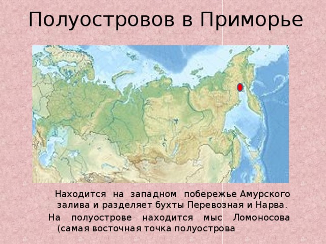 На северо востоке расположен полуостров. Полуостров Ломоносова. Мыс Ломоносова. Полуостров Ломоносова фото. Бухта Ломоносова.