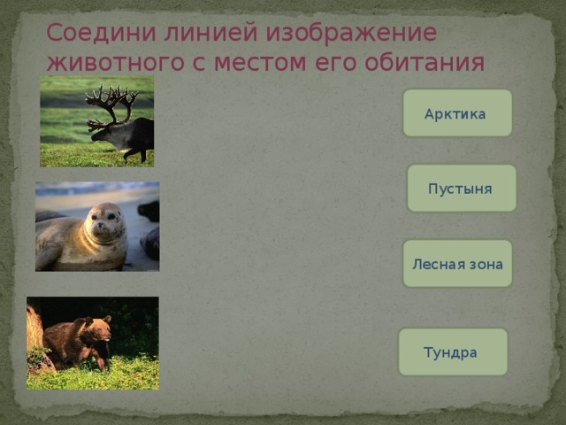 Тест по арктическим пустыням 4 класс. Соедини животного с местом его обитания. Животное и его место обитания. Соедини линиями животных и их названия. Рисунок животного и его место обитания.