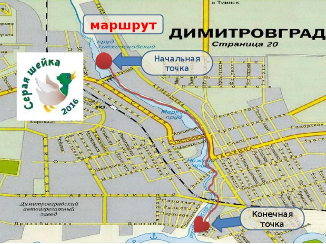 Дом центр димитровград график Курчатова димитровград карта
