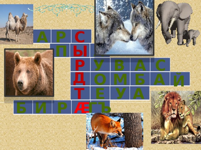 а с р   ы п л   в у с а р   д б а о м й   е у а т    гъ б Æ р и    