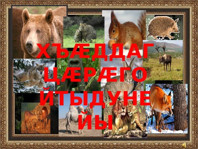 ХЪÆДДАГ ЦÆРÆГОЙТЫДУНЕЙЫ   