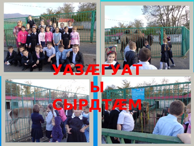УАЗ Æ ГУАТЫ СЫРДТ Æ М 