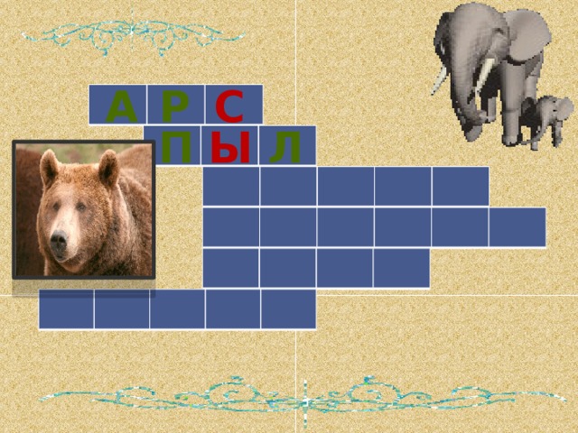 р с а   л ы п              