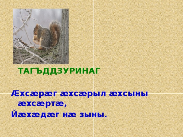    ТАГЪДДЗУРИНАГ Æхсæрæг æхсæрыл æхсыны æхсæртæ, Йæхæдæг нæ зыны. 