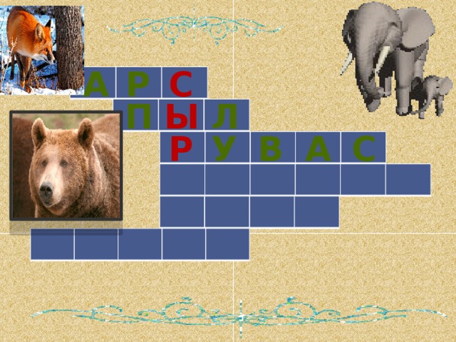 а с р   п л ы   с а в у р            