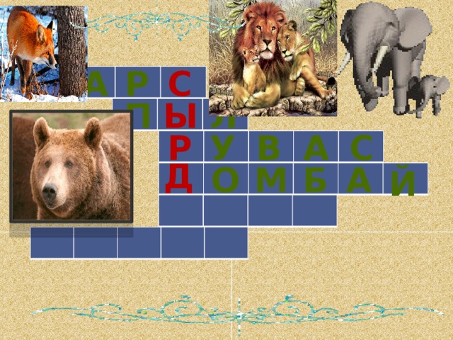 а с р   ы п л   р у с в а   д о м б а й        