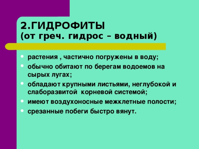 2.ГИДРОФИТЫ   (от греч. гидрос – водный)  растения , частично погружены в воду; обычно обитают по берегам водоемов на сырых лугах; обладают крупными листьями, неглубокой и слаборазвитой корневой системой; имеют воздухоносные межклетные полости; срезанные побеги быстро вянут.   