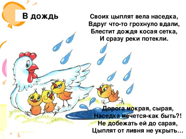 В дождь Своих цыплят вела наседка,  Вдруг что-то грохнуло вдали,  Блестит дождя косая сетка,  И сразу реки потекли. Дорога мокрая, сырая,  Наседка мечется-как быть?!  Не добежать ей до сарая,  Цыплят от ливня не укрыть…     
