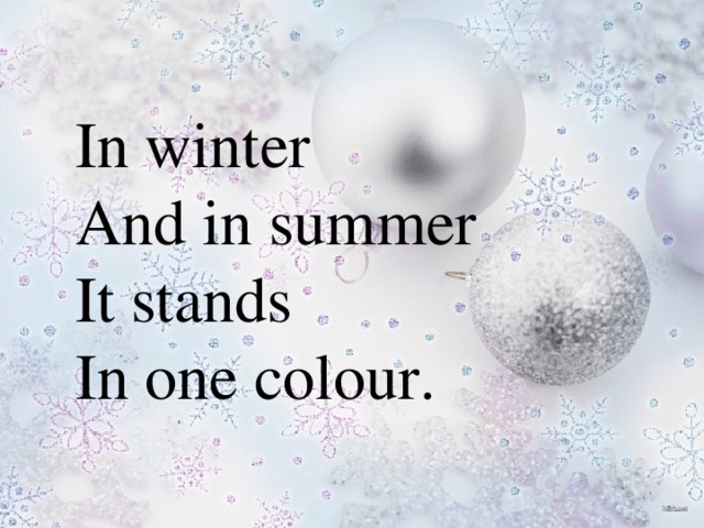 In winter  And in summer  It stands  In one colour.
