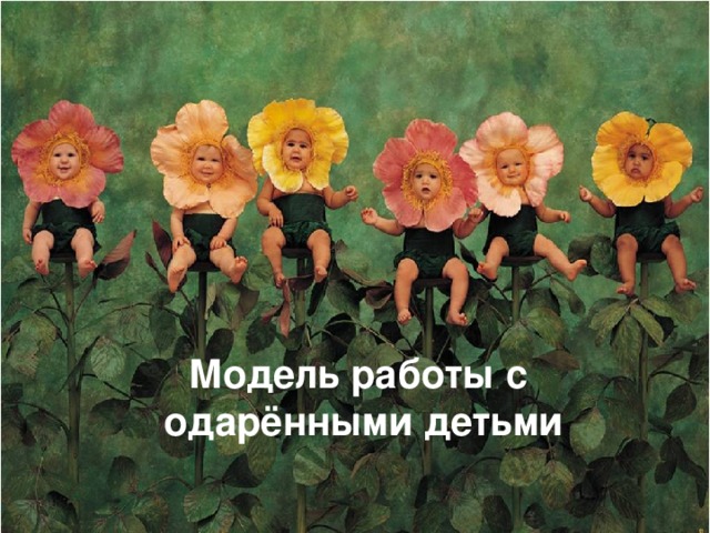 Модель работы с одарёнными детьми  