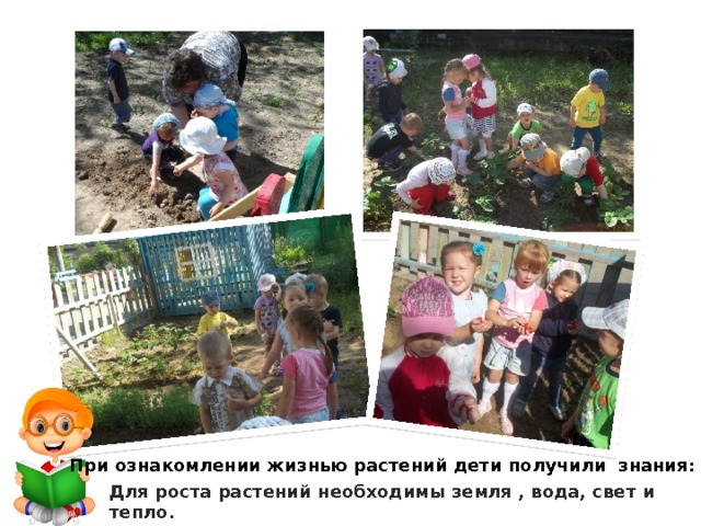 При ознакомлении жизнью растений дети получили знания: Для роста растений необходимы земля , вода, свет и тепло.  