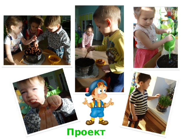 Проект  лучок 
