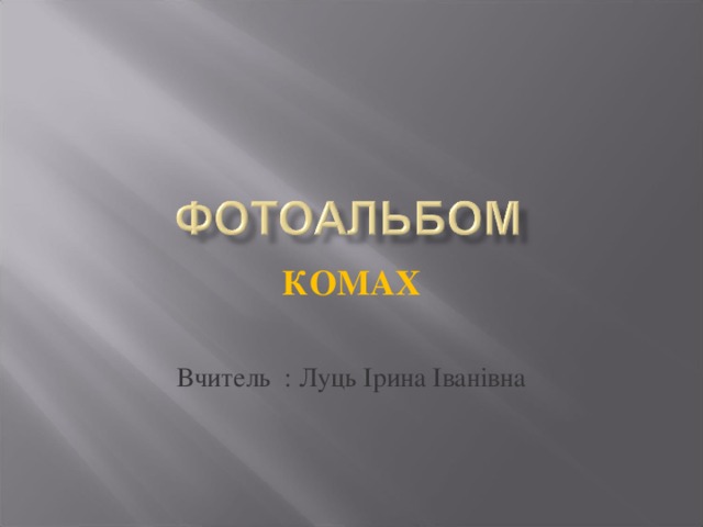 КОМАХ  Вчитель : Луць Ірина Іванівна 