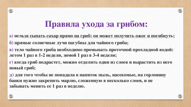 Правила ухода за грибом: а ) нельзя сыпать сахар прямо на гриб: он может получить ожог и погибнуть; б) прямые солнечные лучи пагубны для чайного гриба; в) тело чайного гриба необходимо промывать проточной прохладной водой: летом 1 раз в 1-2 недели, зимой 1 раз в 3-4 недели; г) когда гриб подрастет, можно отделить один из слоев и вырастить из него новый гриб; д) для того чтобы не попадала в напиток пыль, насекомые, на горловину банки нужно закрепить марлю, сложенную в несколько слоев, и не забывать менять ее 1 раз в неделю. 