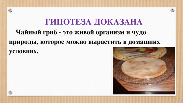 ГИПОТЕЗА ДОКАЗАНА Чайный гриб - это живой организм и чудо природы, которое можно вырастить в домашних условиях.    
