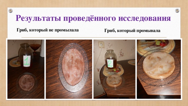 Результаты проведённого исследования Гриб, который не промылала Гриб, который промывала 