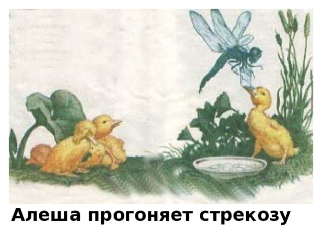 Алеша прогоняет стрекозу