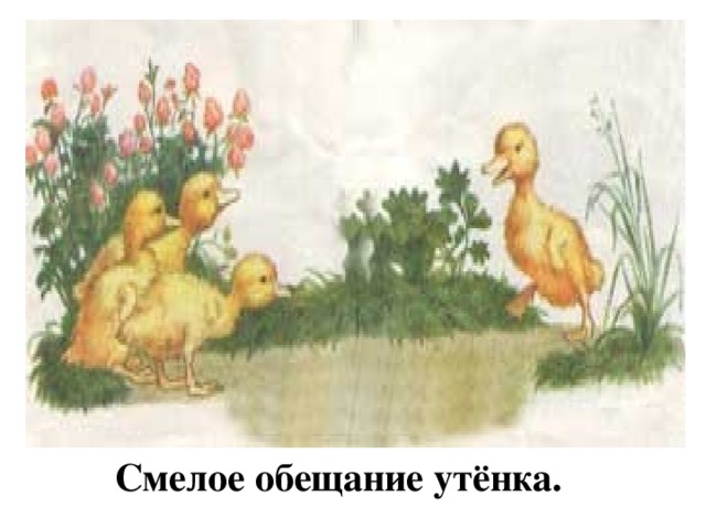 Смелое обещание утёнка.