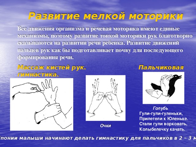 Развитие мелкой моторики Все движения организма и речевая моторика имеют единые механизмы, поэтому развитие тонкой моторики рук благотворно сказываются на развитии речи ребенка. Развитие движений пальцев рук как бы подготавливает почву для последующего формирования речи. Массаж кистей рук. Пальчиковая гимнастика.   Голубь Гули-гули-гуленьки, Прилетели к Юленьке. Стали гули ворковать, Колыбелечку качать. Очки В Японии малыши начинают делать гимнастику для пальчиков в 2 – 3 месяца. 