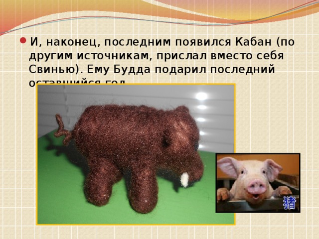 И, наконец, последним появился Кабан (по другим источникам, прислал вместо себя Свинью). Ему Будда подарил последний оставшийся год. 
