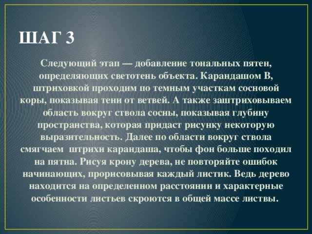 ШАГ 3 Следующий этап — добавление тональных пятен, определяющих светотень объекта. Карандашом B, штриховкой проходим по темным участкам сосновой коры, показывая тени от ветвей. А также заштриховываем область вокруг ствола сосны, показывая глубину пространства, которая придаст рисунку некоторую выразительность. Далее по области вокруг ствола смягчаем штрихи карандаша, чтобы фон больше походил на пятна. Рисуя крону дерева, не повторяйте ошибок начинающих, прорисовывая каждый листик. Ведь дерево находится на определенном расстоянии и характерные особенности листьев скроются в общей массе листвы. 