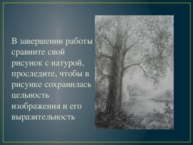 В завершении работы сравните свой рисунок с натурой, проследите, чтобы в рисунке сохранилась цельность изображения и его выразительность 
