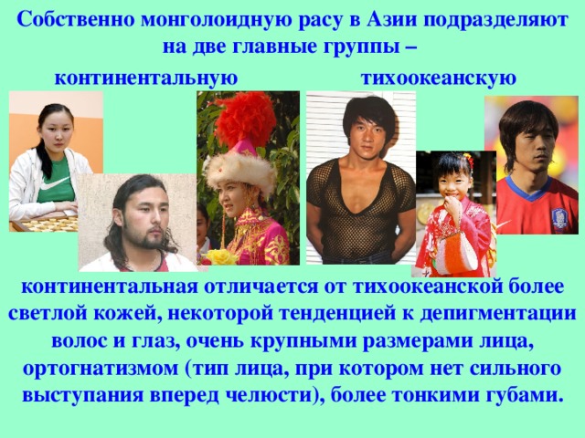 Собственно монголоидную расу в Азии подразделяют на две главные группы – континентальную тихоокеанскую континентальная отличается от тихоокеанской более светлой кожей, некоторой тенденцией к депигментации волос и глаз, очень крупными размерами лица, ортогнатизмом (тип лица, при котором нет сильного выступания вперед челюсти), более тонкими губами. 