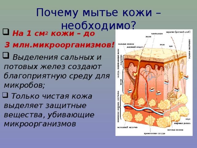 Почему мыло моет проект по химии